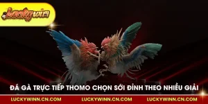 Đá gà trực tiếp thomo chọn sới đỉnh theo nhiều giải