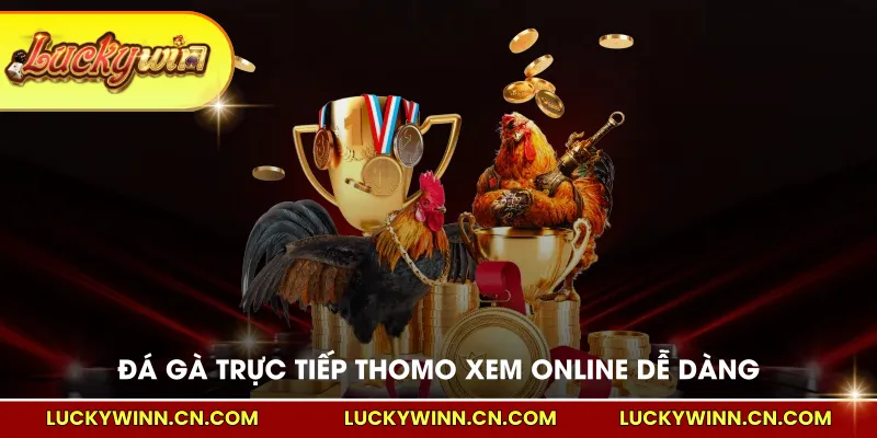 Đá gà trực tiếp Thomo xem online dễ dàng