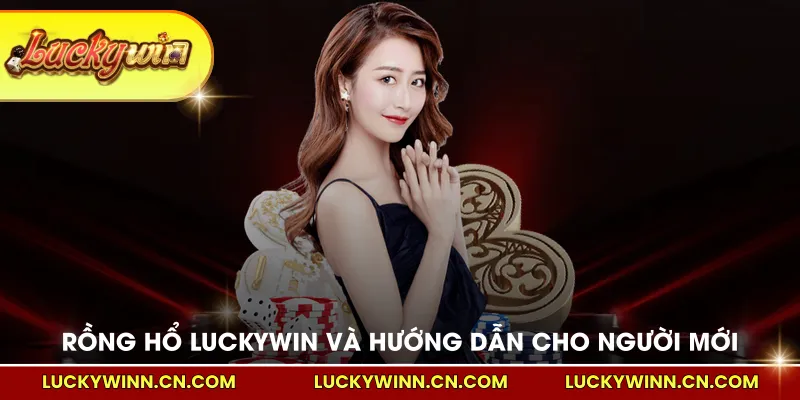 Rồng Hổ LUCKYWIN và hướng dẫn cho người mới